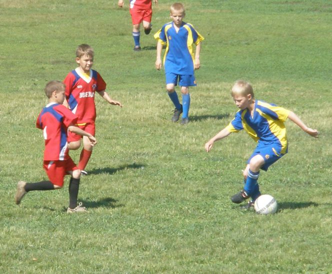 В Тальменке завершился краевой финал соревнований на призы клуба «Кожаный мяч» среди детей 2000-2001 годов рождения.