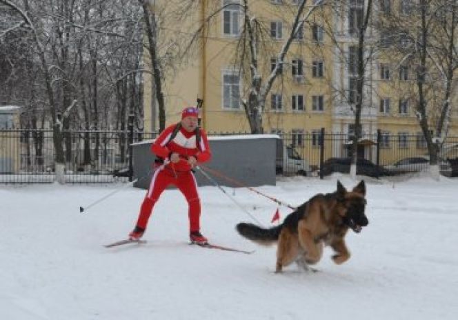8 февраля. Барнаул. Л/б "Локомотив". Чемпионат края по зимним видам (буксировка-гонка). 
