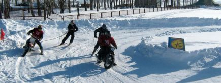 В Барнауле состоялось открытое первенство города по скийорингу "Кольцо Мужества" (фото).