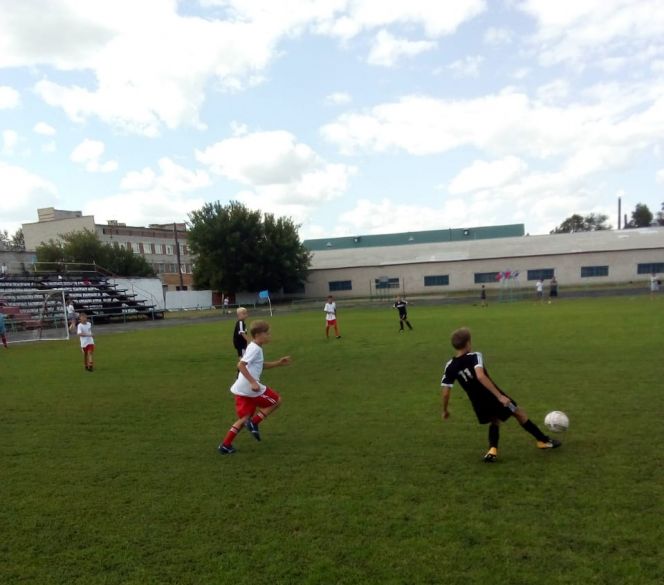 Кубок Первоцелинников, село Ключи, 2018