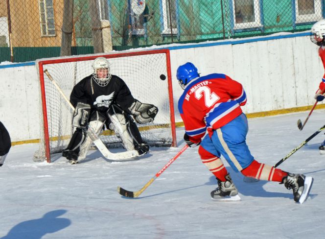 В Камне-на-Оби прошёл детский турнир, посвящённый 40-летию каменского хоккея (фото).