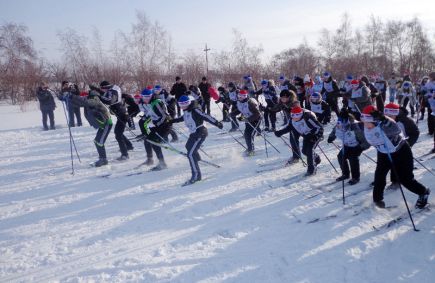 Тысячи жителей края стали участниками традиционной массовой лыжной гонки "Лыжня России" (фото).