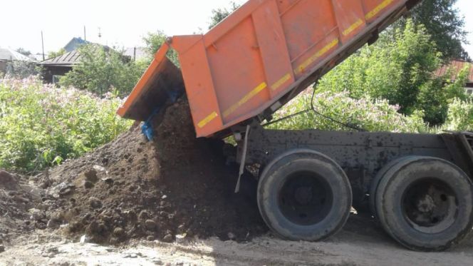 Фото: официальный сайт Барнаула