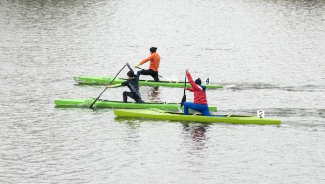 В Барнауле соберутся суперзвёзды мировой гребли, чтобы сразиться за Кубок чемпионов. Иллюстрации: altapress.ru.