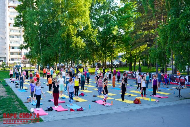 Фото: Парк спорта Алексея Смертина