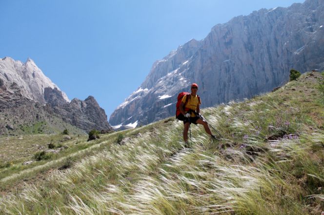 Вертикали Василия Терёхина