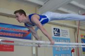 Бийский гимнаст стал мастером спорта России