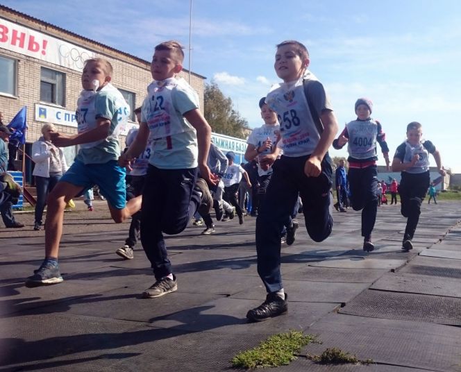 Кросс нации - 2018 в Заринске