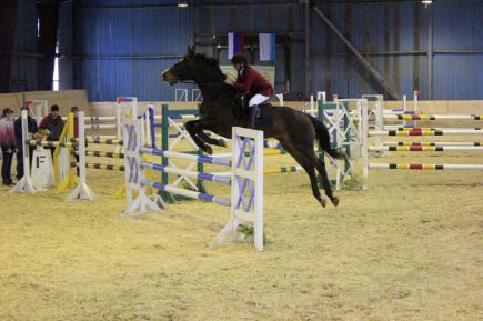 Алтайские конники стали победителями и призёрами Открытого чемпионата Сибирского федерального округа по конкуру, выездке и двоеборью в Республике Алтай (фото).