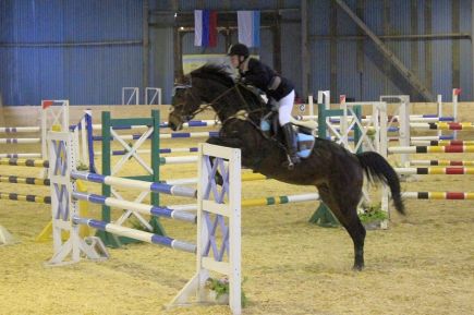 Алтайские конники стали победителями и призёрами Открытого чемпионата Сибирского федерального округа по конкуру, выездке и двоеборью в Республике Алтай (фото).