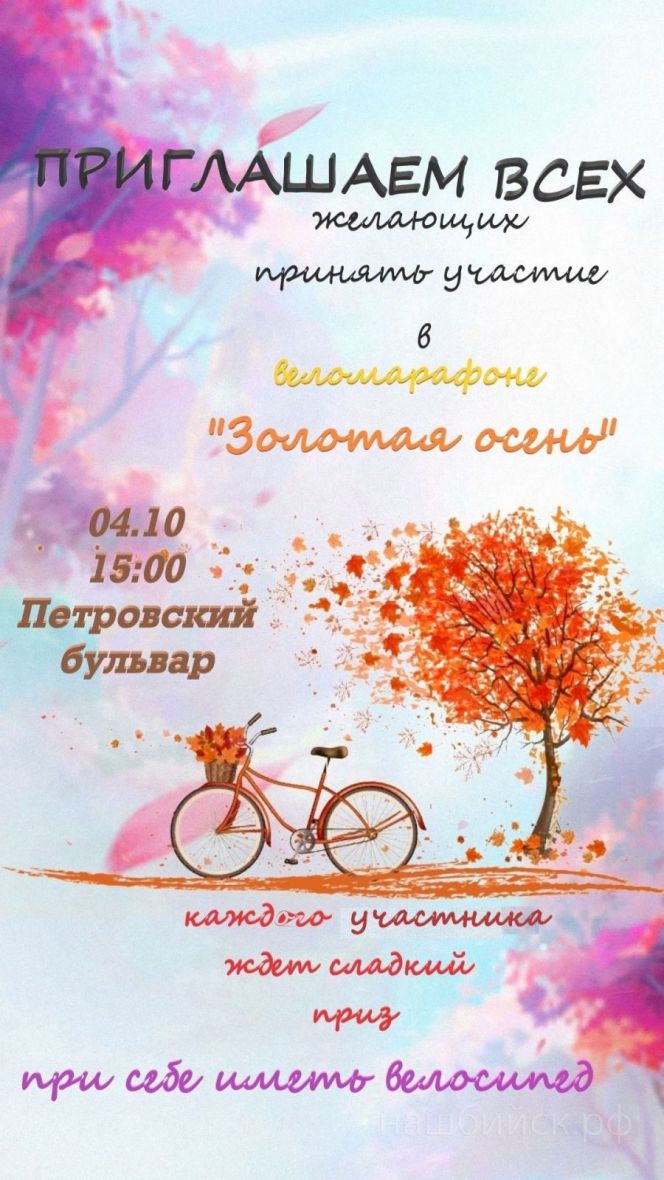 Бийчан приглашают сегодня на веломарафон