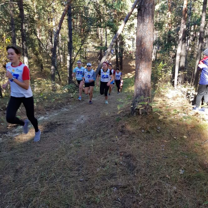 Открытые чемпионат и первенство Алтайского края по кроссу