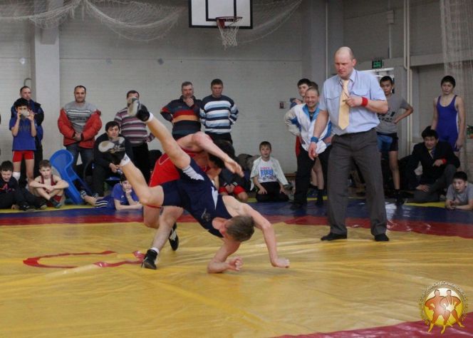 Турнир по греко-римской борьбе в рамках Всероссийской акции "Молодёжь за здоровый образ жизни"