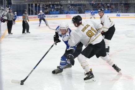 Фото: АНО «Дирекция Красноярск 2019»