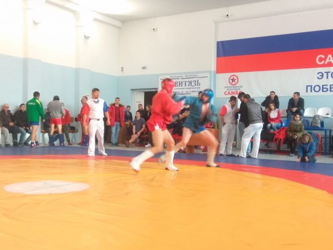 Чемпионат края по боевому самбо. Фото: Владимир Жданов