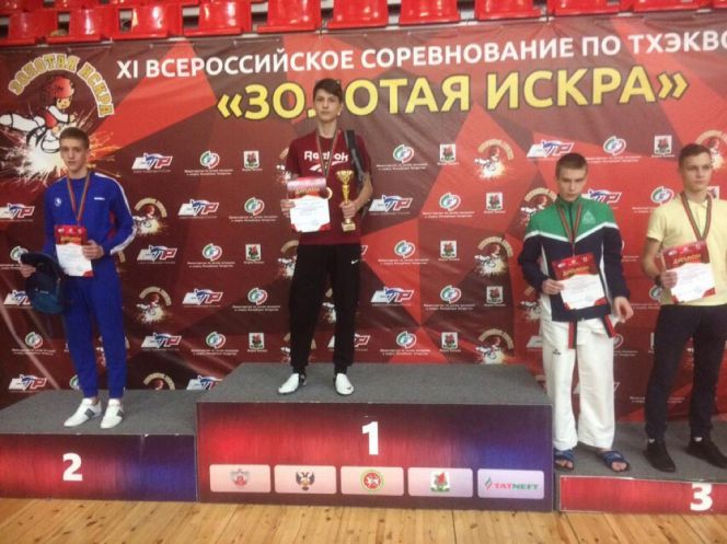 XI Всероссийские соревнования по тхэквондо "Золотая искра"