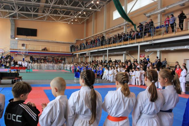 В Барнауле состоялось открытое первенство края по восточному боевому единоборству сётокан.