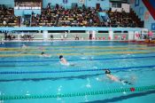 В Барнауле прошёл IV этап Кубка Сибири по плаванию
