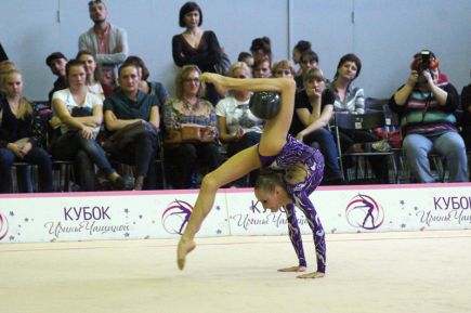 Дом для художеств