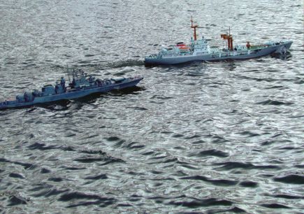 Бийчанин Валерий Шишкин – победитель XIX Кубка России имени маршала А.И. Покрышкина (фото).