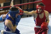 Первенство Сибири по боксу памяти Олега Долгова среди юниоров 19-22 лет