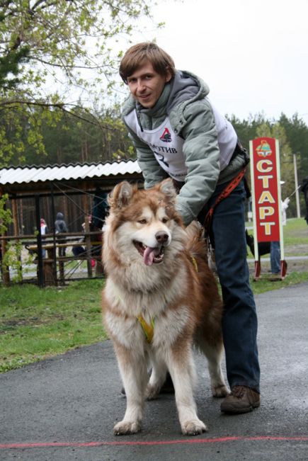 Шесть ног и хвост