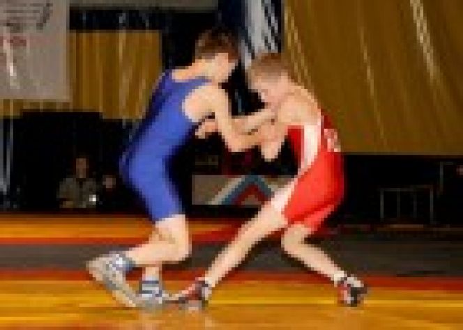 25-26 мая. Барнаул. С/к "Обь". XXVIII Всероссийский турнир памяти алтайских борцов.