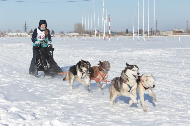 В Барнауле прошли соревнования по скиджорингу «След-2019»