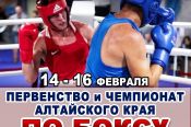 14-16 февраля. Камень-на-Оби. Каменская спортивная школа. Первенство и чемпионат края по боксу