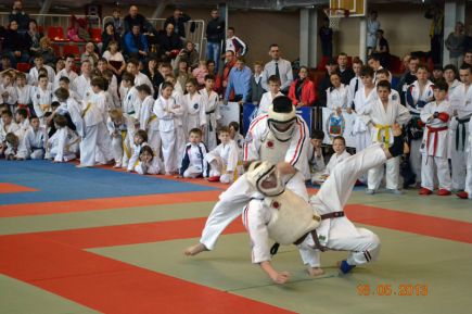 В Барнауле завершился IV международный фестиваль единоборств «Детям планеты – мир без наркотиков» (фото).