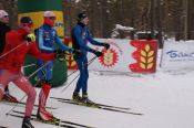 На трассу очередного лыжного «Барнаульского марафона» вышло почти 800 человек