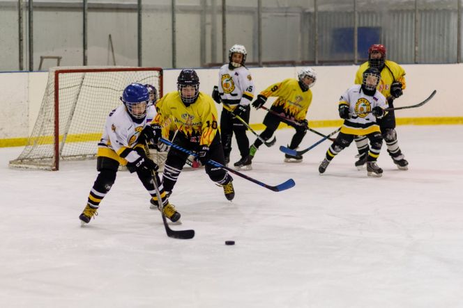 «Кубок BARLED»