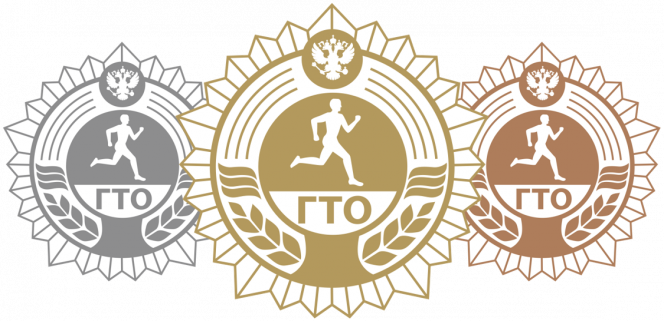 В 4-м квартале 2019 года жители края выполнили нормативы ГТО на 1315 золотых, 1548 серебряных и 814 бронзовых знаков