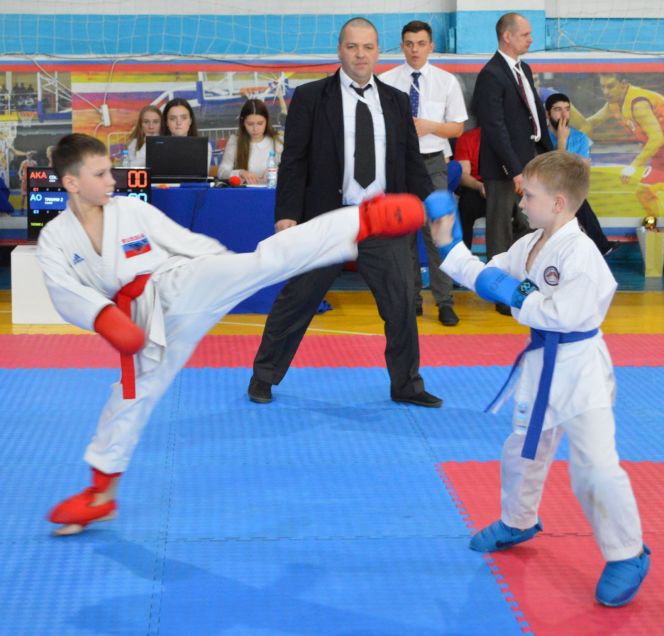 Турнир "Алтайский медведь"