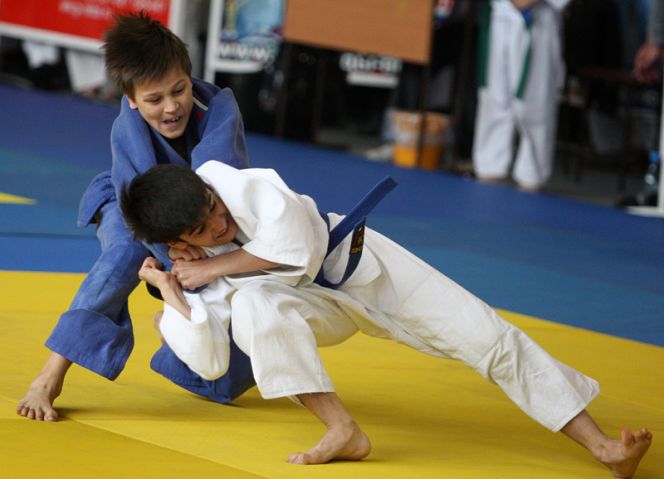 Международный фестиваль дзюдо в Сибирском федеральном округе - 2013