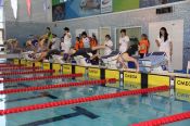 Из 49 рекордов России, установленных на чемпионате страны по плаванию среди спортсменов с ПОДА, девять принадлежат пловцам Алтайского края