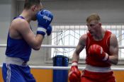 В Барнауле определились лучшие боксеры чемпионата края 