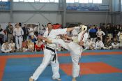 Более 3000 спортсменов из 10 стран приняли участие в Х фестивале боевых искусств и единоборств