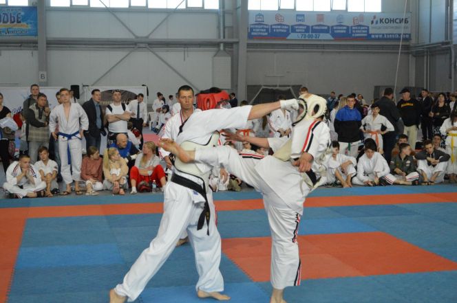 Более 3000 спортсменов из 10 стран приняли участие в Х фестивале боевых искусств и единоборств