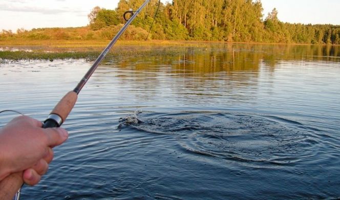 1-2 июня. с. Шахи Павловского района. Чемпионат Алтайского края по ловле спиннингом с берега "Трофей-2019"
