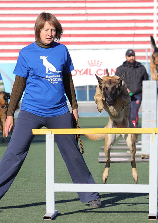 Команда кинологов Алтайского края на чемпионате ДОСААФ России по спортивно-прикладному собаководству заняла первое место в общекомандном зачёте.