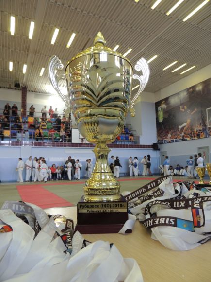 В Рубцовске завершился Открытый чемпионат края по киокушин каратэ в рамках "Международного турнира "Сибирь-Азия".