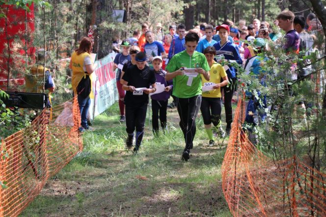 В Барнауле прошли чемпионат и первенство СФО по спортивному ориентированию в кроссовых дисциплинах