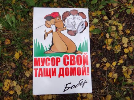 Представители боевых искусств провели в Барнауле экологическую акцию «Мы – за чистый город!».