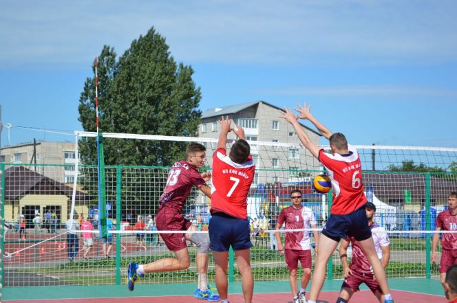 Волейбол. Мужчины. Ребрихинский район - Немецкий район