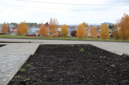 На финишной прямой