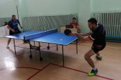 Соревнования по настольному теннису XLI сельской олимпиады выиграли спортсмены Благовещенского района