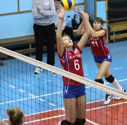 Молодые, высокие