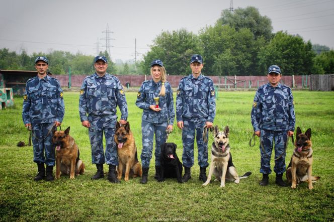 В краевом УФСИН провели соревнования по многоборью среди специалистов-кинологов