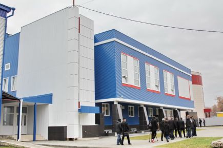 Время спортивной зрелости